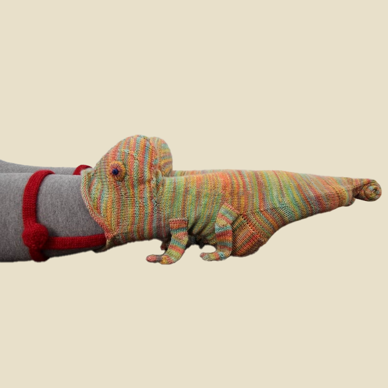 Chameleon Socks